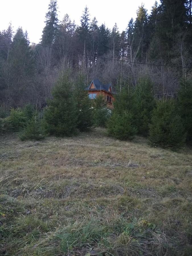 На Полумистому Mykulychyn Exterior foto
